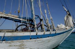 Haitian fishing vessel, Bahamas, D100 by Claudia Pellarini 